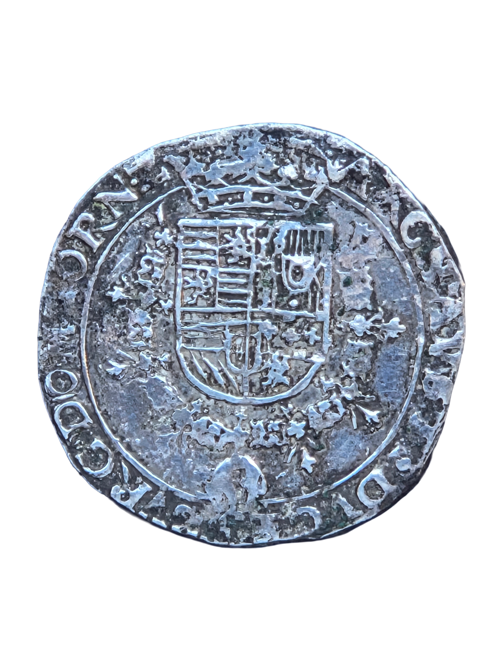 Vierde Patagon Albert